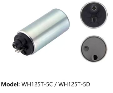 Electric Fuel Injection Pump for WH125T-5C / WH125T-5D