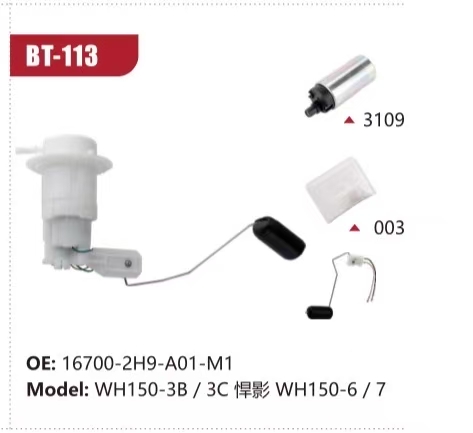Electric Fuel Pump Assembly for WH150-3B / 3C 悍影 WH150-6 / 7 