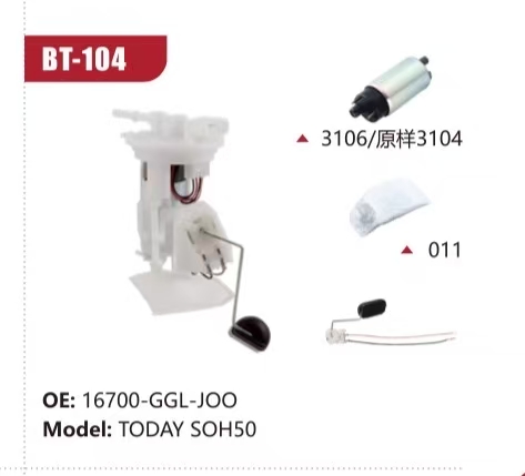 Electric Fuel Pump Assembly for TODAY SOH50