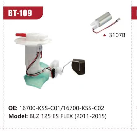 Electric Fuel Pump Assembly for BLZ 125 ES FLEX (2011-2015)