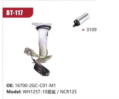 Electric Fuel Pump Assembly for WH125T-10 喜鲨 / NCR125