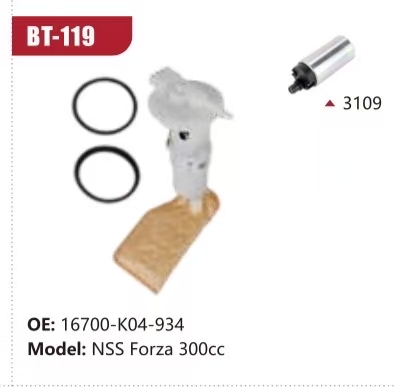 Electric Fuel Pump Assembly for NSS Forza 300cc 