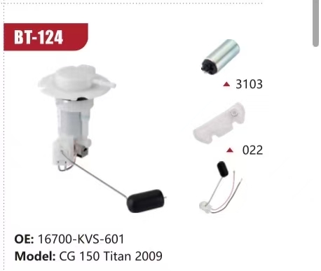 Electric Fuel Pump Assembly for CG 150 Titan 2009