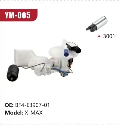 Electric Fuel Pump Assembly for X-MAX