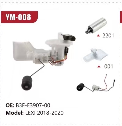 Electric Fuel Pump Assembly for LEXI 2018-2020