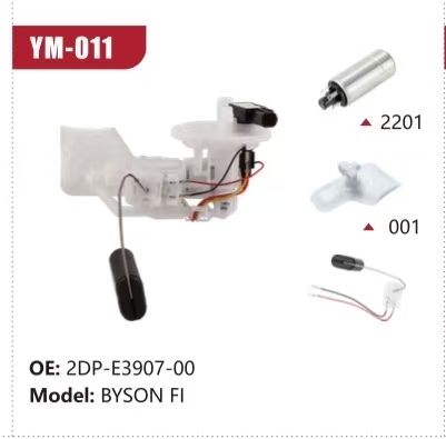 Electric Fuel Pump Assembly for BYSON FI 