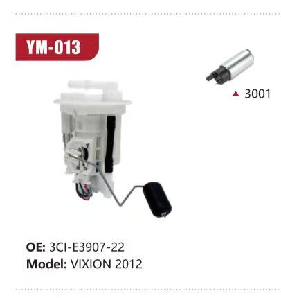 Electric Fuel Pump Assembly for VIXION 2012 
