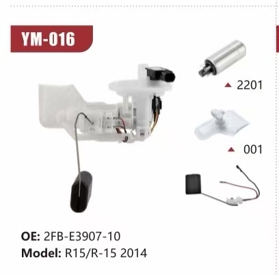 Electric Fuel Pump Assembly for R15/R-15 2014