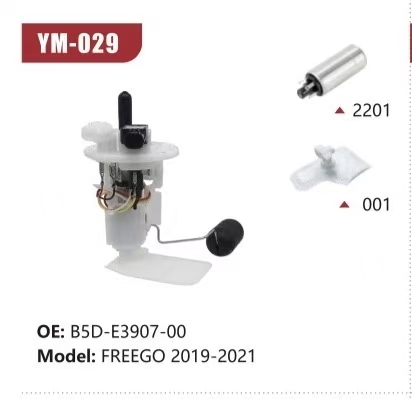 Electric Fuel Pump Assembly for FREEGO 2019-2021