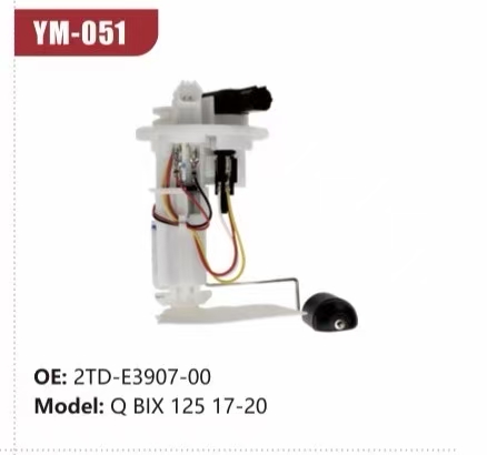 Electric Fuel Pump Assembly for Q BIX 125 17-20