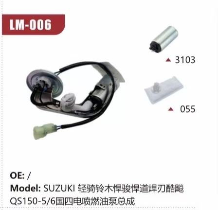 Electric Fuel Pump Assembly for Suzuki QS150-5/6